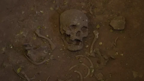 Human skeleton and skull found by archeological excavation Human skull in ground Video stock 256751327