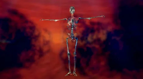 Human skeleton animation Stock Footage 27663769