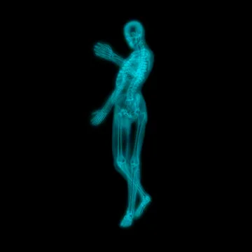 Human skeleton, artwork イラスト素材