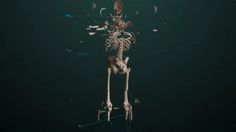 Human skeleton in augmented reality Stock Footage 244808019