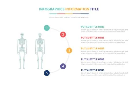 Human skeleton bone infographic template concept with five points list and va Stock Illustration