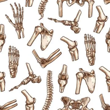 Human skeleton bone seamless pattern background Stockillustratie