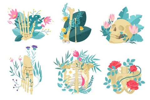 Human skeleton bones in flowers set, floral pattern and skull, pelvic bone, hand Stock Illustration
