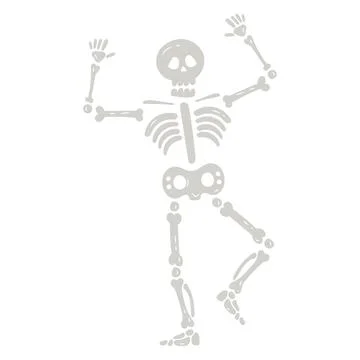 Human skeleton bones イラスト素材
