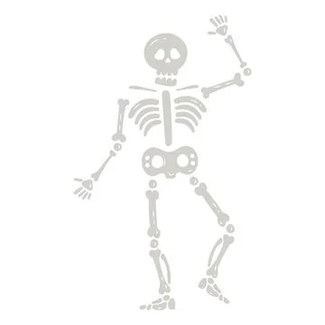 Human skeleton bones イラスト素材