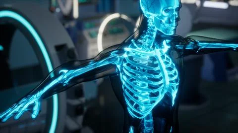 Human skeleton bones scan exam in lab Stock-Illustration