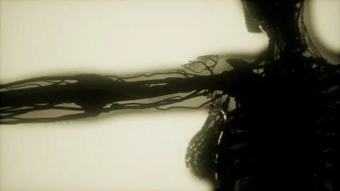 Human skeleton bones scan glowing Stock-Illustration