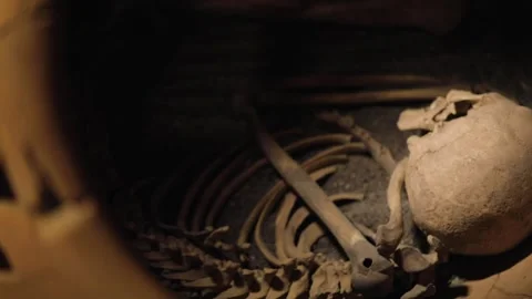 A human skeleton buried in a wine jar. Stock Footage 241980710