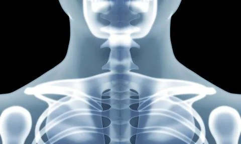 Human skeleton chest x-ray image Stock Illustration