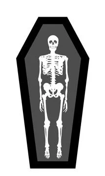 Human skeleton in coffin vector silhouette illustration isolated on white Stock Illustration