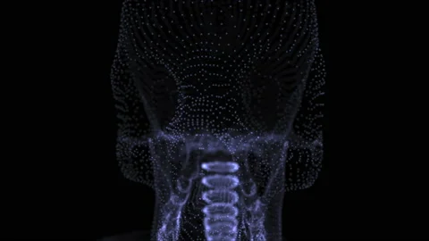 A human skeleton in the dark Stock Footage 234187926