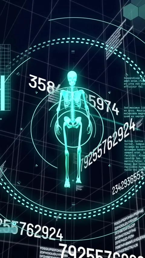 Human skeleton with data charts and numbers, medical animation over grid Stock Footage 343028523