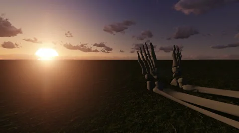 Human skeleton in the desert Stock Footage 40253298