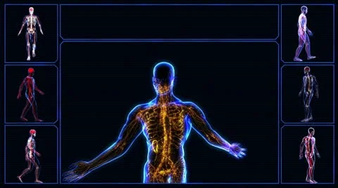 Human skeleton Stock-Footage 21897949