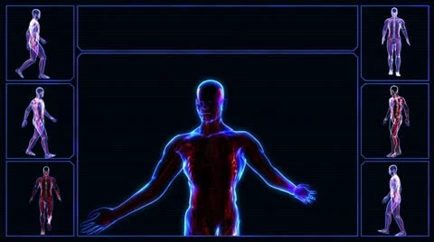 Human skeleton Stock Footage 21897997