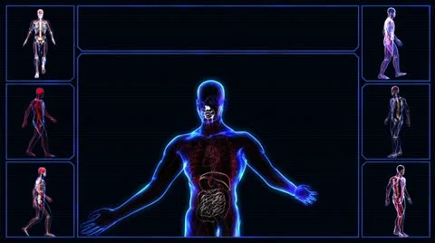 Human skeleton Stock-Footage 21898017