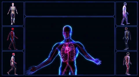 Human skeleton Stock-Footage 21898141