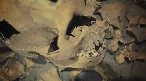 Human skeleton 스톡 동영상 34163695