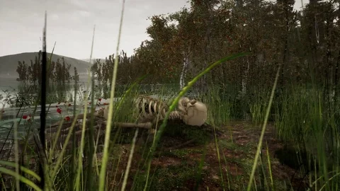 Human skeleton in the forest in rainy weather. horror concept. 3d animation Stock Footage 112438951