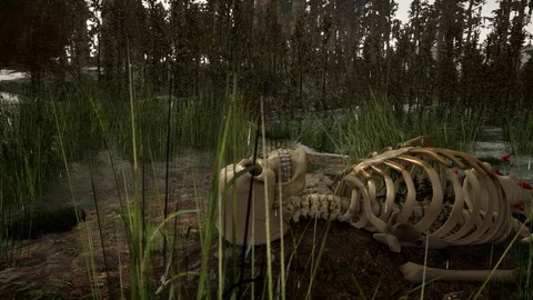 Human skeleton in the forest in rainy weather. horror concept. 3d animation Stock Footage 112438955