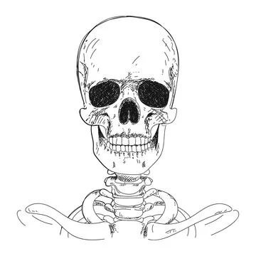 Human skeleton hand drawing Stock Illustration