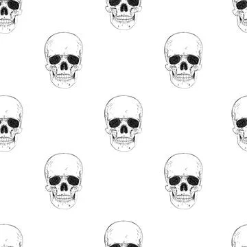 Human skeleton hand drawing Stock Illustration