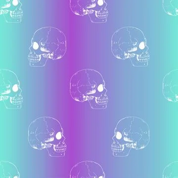 Human skeleton hand drawing Stock Illustration