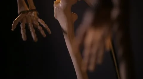 Human skeleton. Hands. Stock Footage 22239784