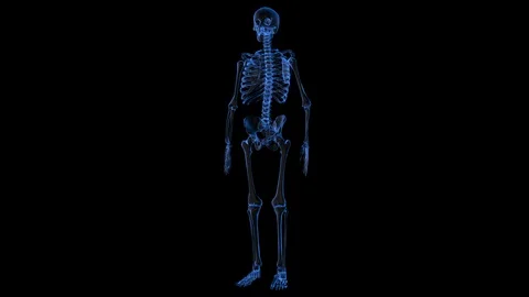 Human Skeleton Hologram Stock Footage 118585105