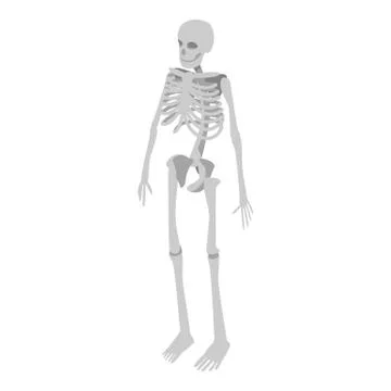 Human skeleton icon, isometric style Stock Illustration