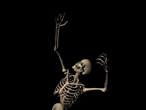 Human Skeleton Stock-Illustration