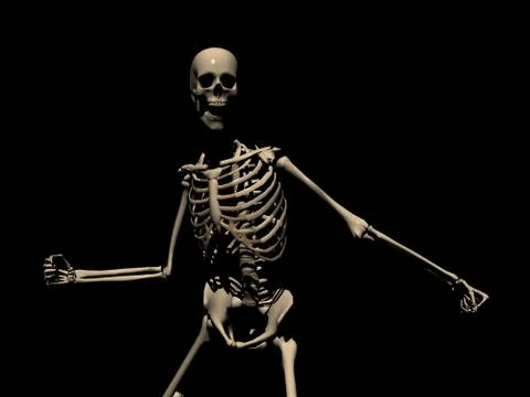 Human Skeleton Illustrazione stock