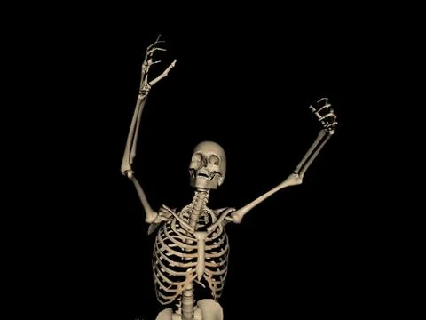 Human Skeleton Stock-Illustration