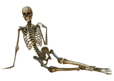 Human Skeleton Illustrazione stock
