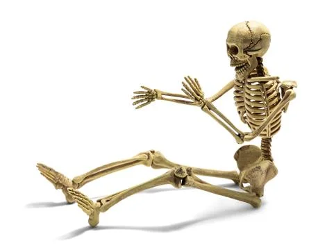 Human skeleton isolated Stock Photos