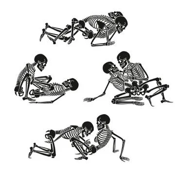 Human skeleton kamasutra set. Vector illustration. Stock Illustration