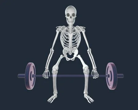 A human skeleton lifting a barbell, 3d illustration Illustrazione stock