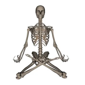 Human skeleton meditation- 3D render Stock Illustration
