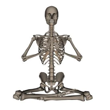 Human skeleton meditation- 3D render Stock Illustration