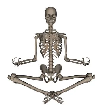 Human skeleton meditation- 3D render Stock Illustration