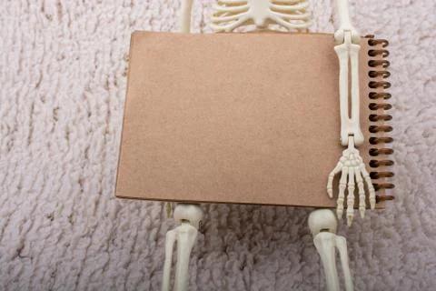 Human skeleton model posing with notebook in hand Stock Photos