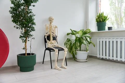 Human skeleton model sitting on chair indoors near potted plants in bright ro Stockfoto's