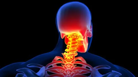 Human skeleton neck or cervical pain anatomy for medical concept 3D illustr.. イラスト素材