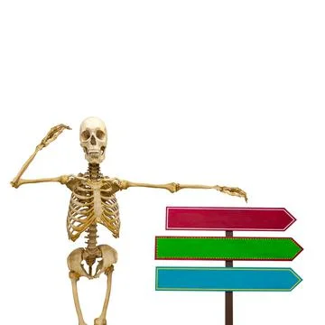 Human skeleton with pointers in isolation on a white background Foto stock