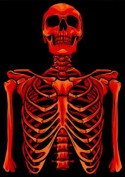 Human skeleton posing isolated on black background vector illustration Stock Illustration