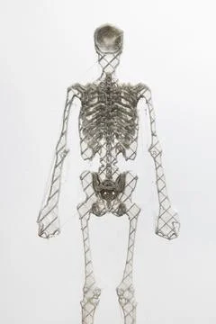 Human skeleton printed on a 3D printer, modern technologies Stock Photos