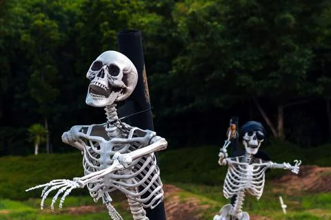 Human skeleton props decorated in outdoor field for Halloween festival disp.. Stock Photos