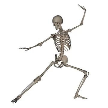 Human skeleton ready to fight - 3D render Stock Illustration