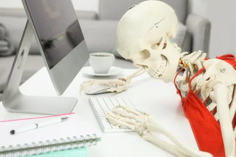 Human skeleton in red dress using computer at table Stock Photos