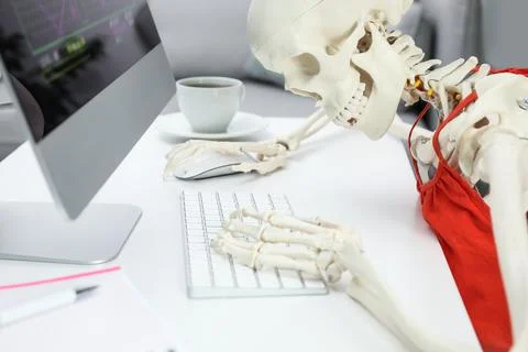 Human skeleton in red dress using computer at table, closeup Stock Photos